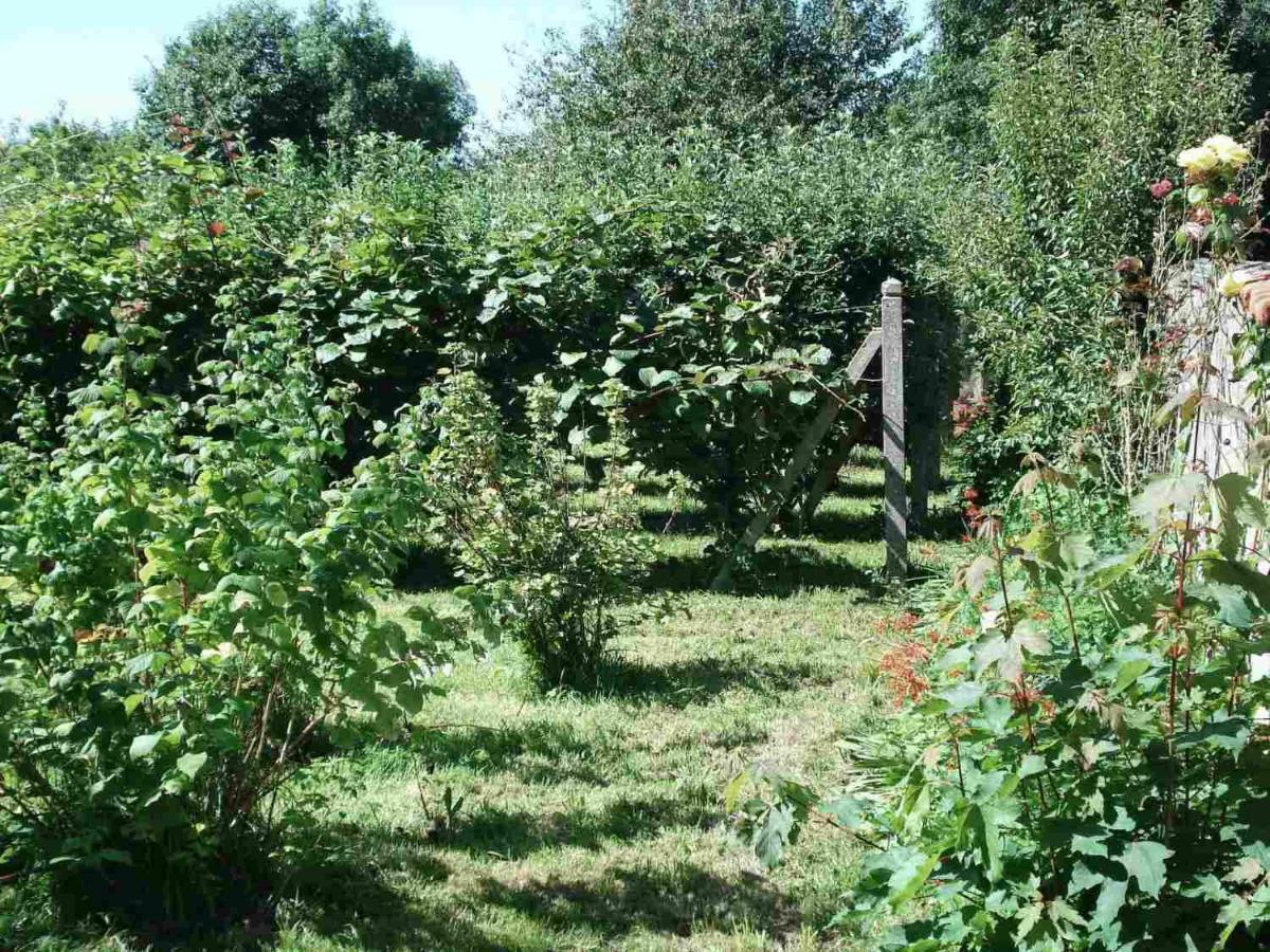Le Clos Des Tilleuls La Vendelée Екстериор снимка