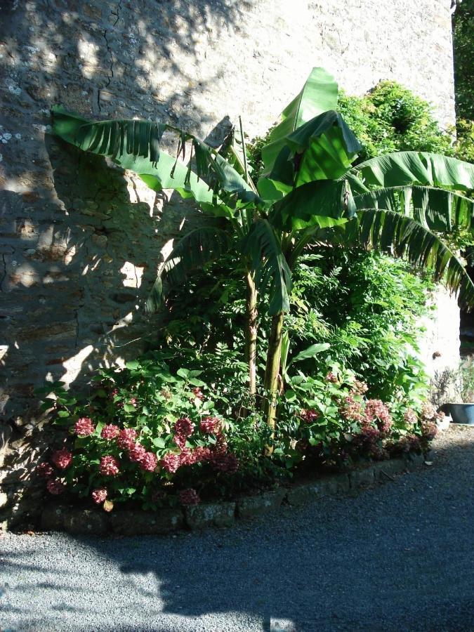 Le Clos Des Tilleuls La Vendelée Екстериор снимка